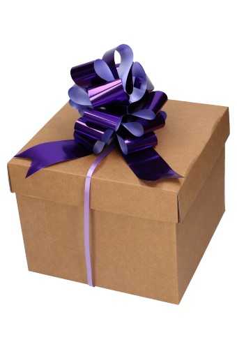 Strik Paars Metallic Doorsnee 15cm lint 5cm