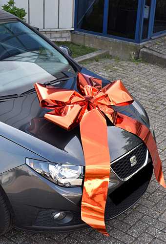 Magnum Autostrik Livorno Metallic Oranje Strik 70x50+60cm