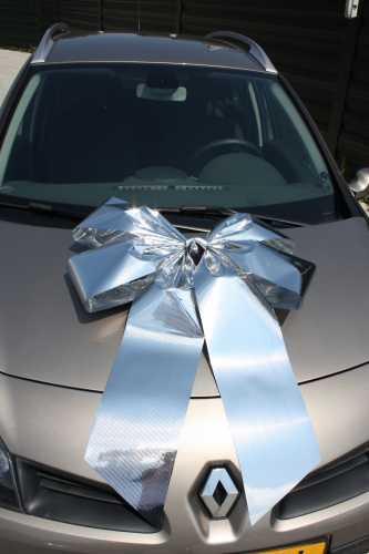 Magnum Autostrik Livorno Metallic Zilver Strik 70x50+60cm