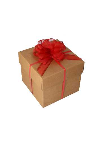 Organza Luxe Trek Strikken Rood Doorsnee 95mm lint 30mm 15stuks