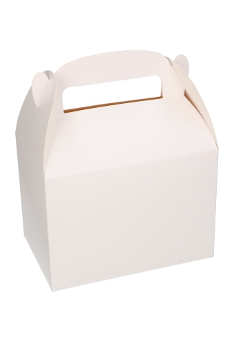 Draagdoos Lunchbox Danau Wit 17.3x11.4x12.3cm 25stuks