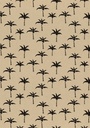 Kerstpapier Recycled Palms Zwart 50 cm x  250meter OP IS OP