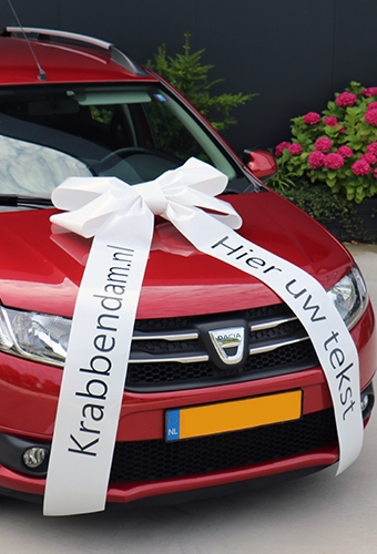 Magnum Autostrik Livorno Wit Bedrukt Met Tekst 70x50+90cm