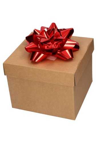 Grote Bow Strik Rood Metallic Met Plakker 20cm Doorsnee