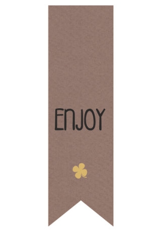 Langwerpig Vaandel Everyday Enjoy Kraft 2.5 x 8.5cm 250stuks