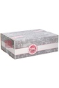 Geschenkdozen Wine Deliver Box 39x29x13cm 15stuks