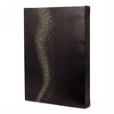 Brainz Painting Speaker 20x28x4cm 1stuks