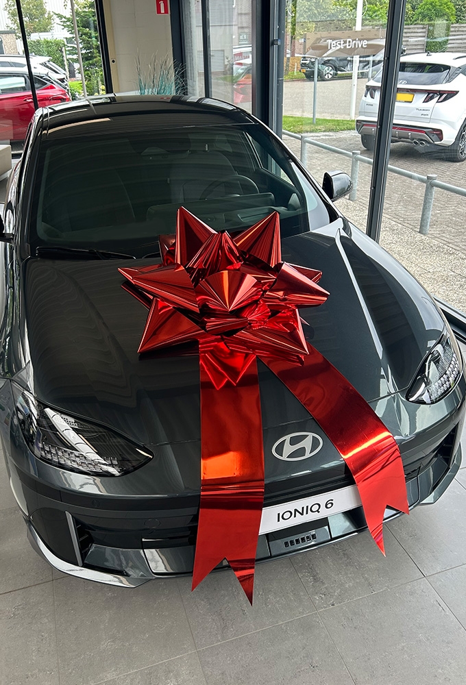 Autostrik Vienna Metallic Rood d80cm+80cm Magnum Bows