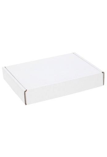 [1920019] Brievenbusdoos Brutus Blanco Wit A6 16.5x12.5x2.8cm 10stuks