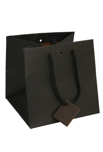 [K1110855] Kadotasjes Praag Zwart Line Mat Met Lintgleuf Koord 20x19.8x20cm 20st