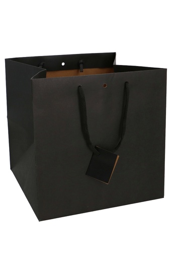 [K1110856] Kadotasjes Praag Zwart Line Mat Met Lintgleuf Koord 26x25.8x26cm 20st