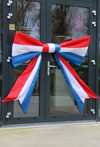 [K1290460] Megastrik StrikXXL Nederland 150x75cm Lint Strik Is 50cm