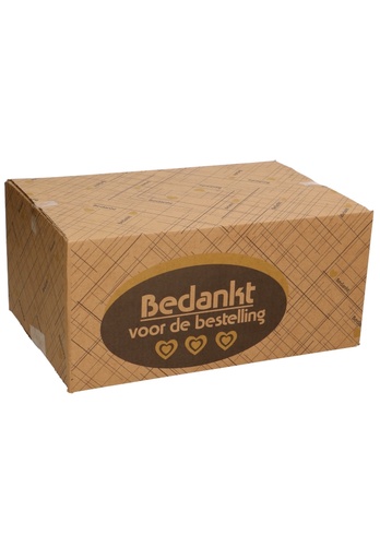 [1910010-KRAFT] Geschenkdozen Bedankt Voor De Bestelling Streepjes 31x20x14cm 30stuks