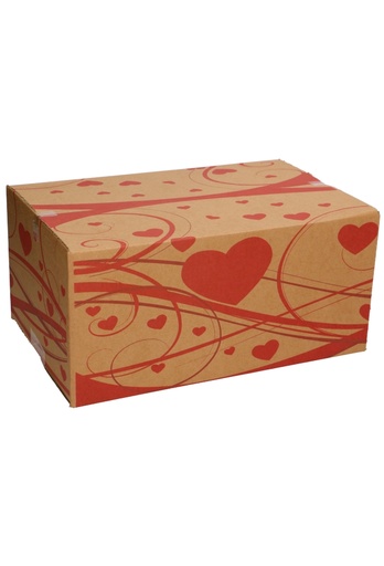 [1910006-KRAFT] Geschenkdozen Hartjes 31x20x14cm 30stuks