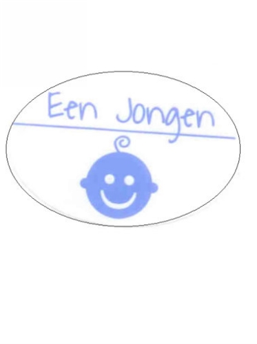 [K1210034] Etiketten Baby Een Jongen Blauw 3.8x2.5 cm 500stuks