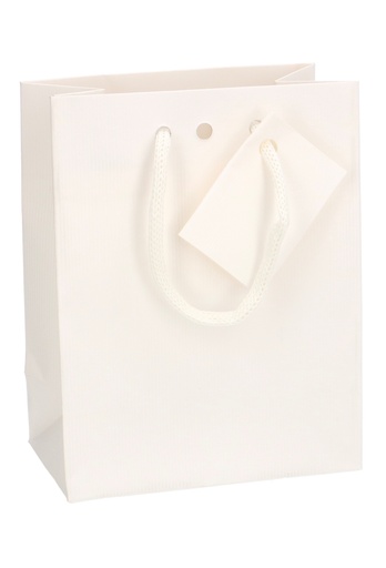 [K1110864] Kadotasjes Praag Line Wit Mat Met Lintgleuf 11.4x6.4x14.6cm 20stuks