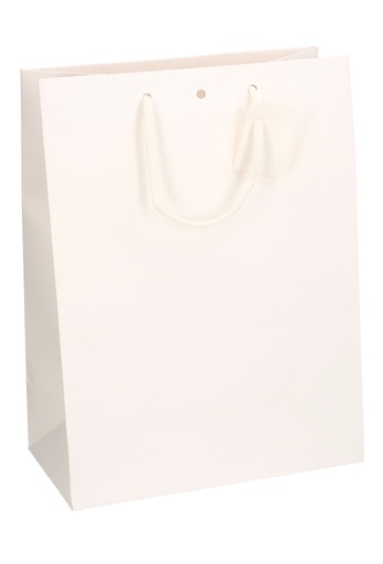 [K1110866] Kadotasjes Praag Line Wit Mat Met Lintgleuf 25x13x33cm 10stuks