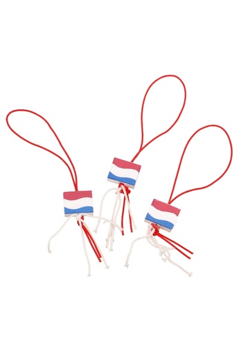 [K1340381] Gelukspoppetjes Nederlandse Vlag Aan Koordje 100stuks