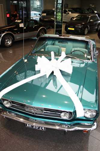 [K1290088] Magnum Bows Maxi Strik Glanzend Wit Strik d60x105cm 20 Lussen