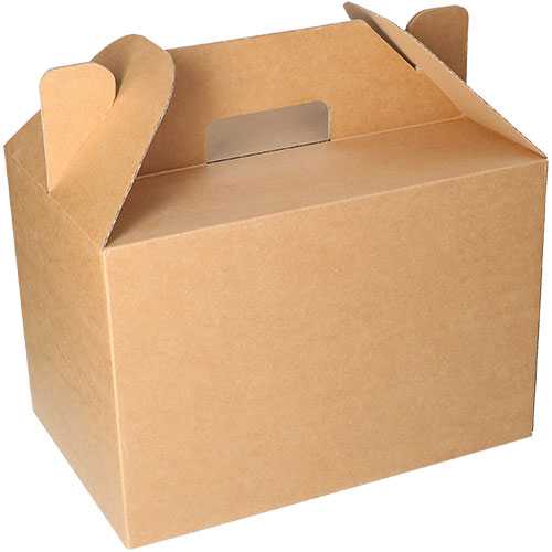 [K1270471] Geschenkdoos Draagdoos XL Met Handvat Kraft 30x20x20cm 25st OP IS OP