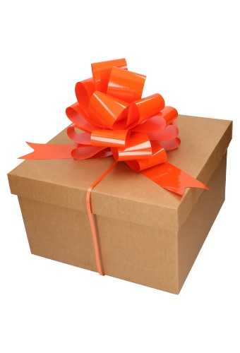 [K1420325] Strik Oranje Lak Doorsnee 27cm lint 6.8cm 1stuks