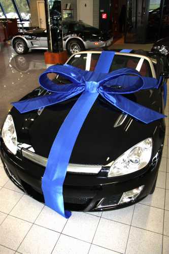 [K1290020] Super Autostrik Salerno Blauw 120x100x50cm Met Lint En Zuignap