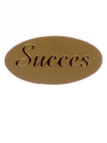 [K1210039] Etiketten Everyday Succes Goud 4x2 cm 500stuks