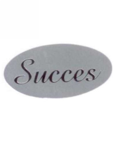 [K1210040] Etiketten Everyday Succes Zilver 4x2 cm 500stuks