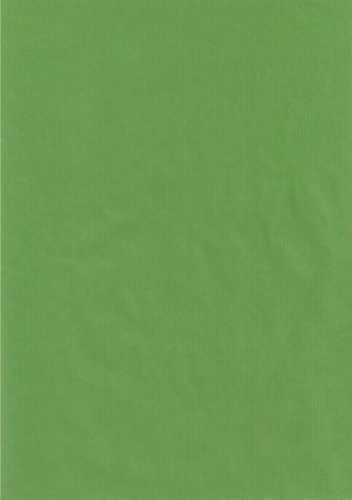 [1060069-100] Kraft Bruin Inpakpapier Lime Groen 60gram 100cm x 250meter