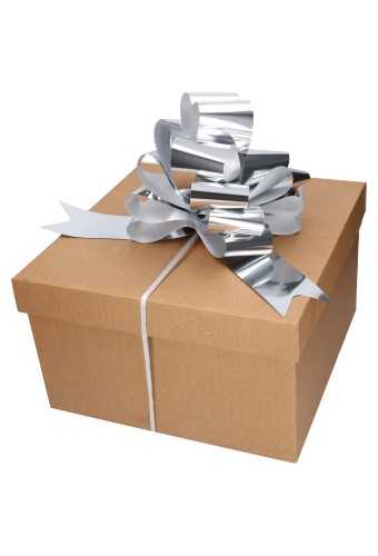 [K1420327] Strik Zilver Metallic Doorsnee 27cm lint 6.8cm