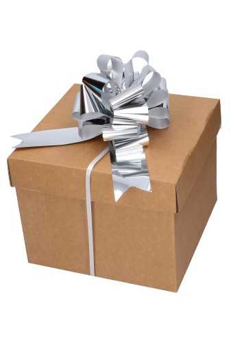 [K1420314] Strik Zilver Metallic Doorsnee 15cm lint 5cm