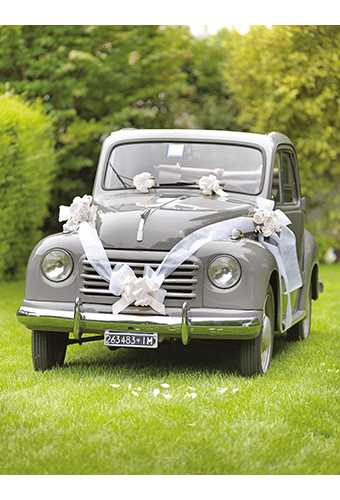 [K1290134] Trouwpakket Voor Auto Met Strikken en Lint Wit 5delig