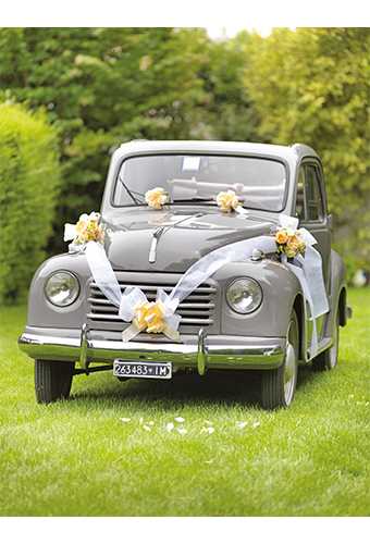 [K1290135] Trouwpakket Voor Auto Met Strikken en Lint Creme 5delig
