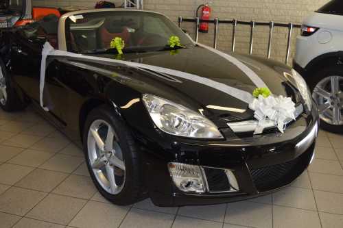 [K1290136] Trouwpakket Voor Auto Met Strikken en Lint Wit & Groen 7delig