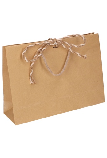 [K1110385] Kadotasjes Noli Kraft Met Koord & Lintgleuf 32x10x24cm 10stuks