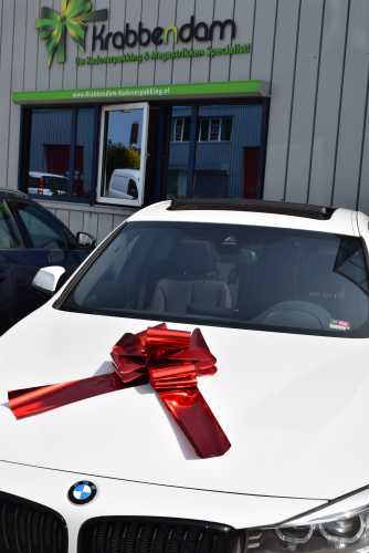 [K1290160] Autostrikken Groot Milaan Metallic Rood d36x36+24cm