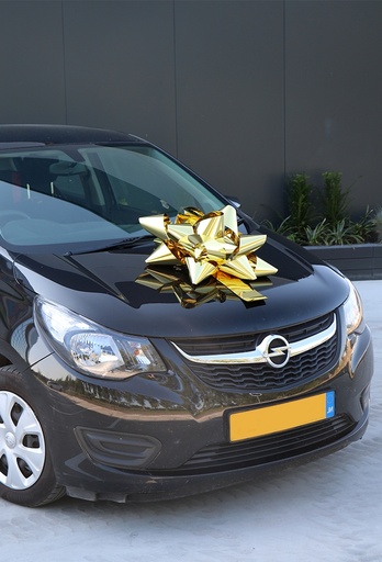 [K1290185] Magnum Bows Autostrik Bari Metallic Goud 55cm