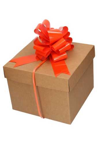 [K1420120] Strik Oranje Lak Doorsnee 15cm lint 5cm 1stuks