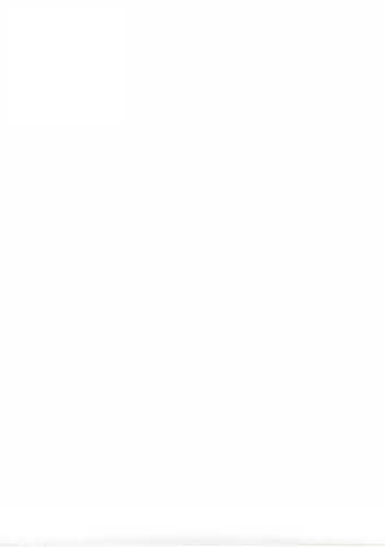 [1060088-70] Luxe Kraft Dubbelzijdig Uni Wit 70gram 70cm x 200meter