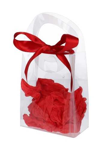 [K1110497] Kadotasjes SIERA Transparant 200my PET 12.5x6.5x16cm 10stuks