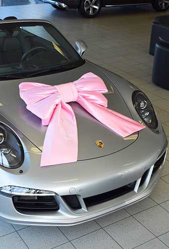 [K1290238] Megastrik Dubbel Roze Lucca 77x50+40cm & Zuignap lint 25cm