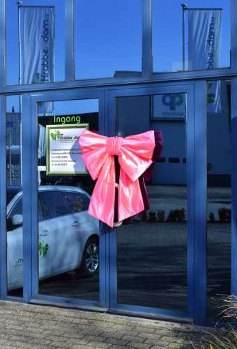 [K1290239-DEUR] Deurstrik Dubbel Pink Lucca 77x50+40cm & Zuignap lint 25cm