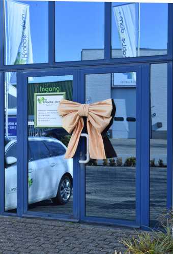 [K1290242-DEUR] Deurstrik Dubbel Goud Lucca 77x50+40cm & Zuignap lint 25cm