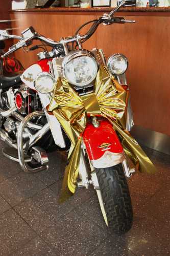 [K1290110] Magnum Motorstrik Prato Metallic Goud Strik 45x35+50cm Autostrik