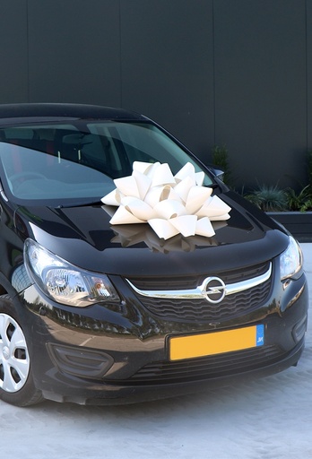 [K1290181-65CM] Magnum Bows Autostrik Bari Wit Glossy 65cm