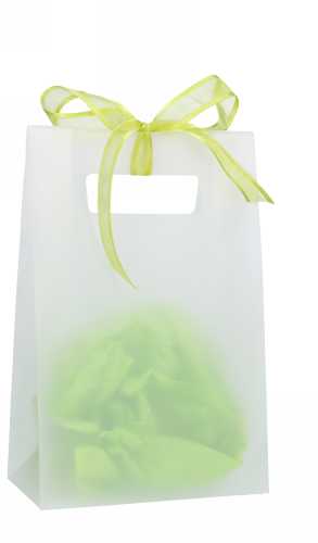 [K1110004] Kadotasje Dolo White Frosted 180my 17.5x9.5x27.5cm 25stuks