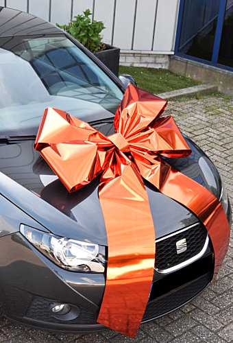 [K1290262] Magnum Autostrik Livorno Metallic Oranje Strik 90x60+70cm