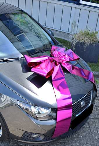 [K1290260] Magnum Autostrik Livorno Metallic Pink Strik 70x50+60cm