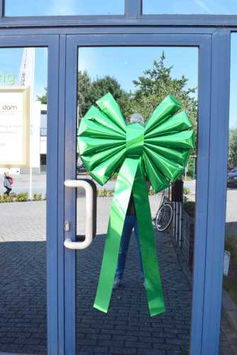 [K1290199] Magnum Strik Florence Metallic Groen 67x60+45cm