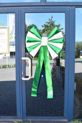 [K1290205] Magnum Strik Florence Metallic Groen & Wit 67x60+45cm